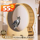 キャットホイール 猫用ランニングホイール 猫の運動ホイール キャットランニングマシン 猫の回し車 猫用おもちゃ 猫じゃらし&ボール付き 取付説明書付き 組み立て式 自走式 置き式 直径100cm 静音ホイール 室内運動用 ストレス解消 運動不足 留守番 一人遊び