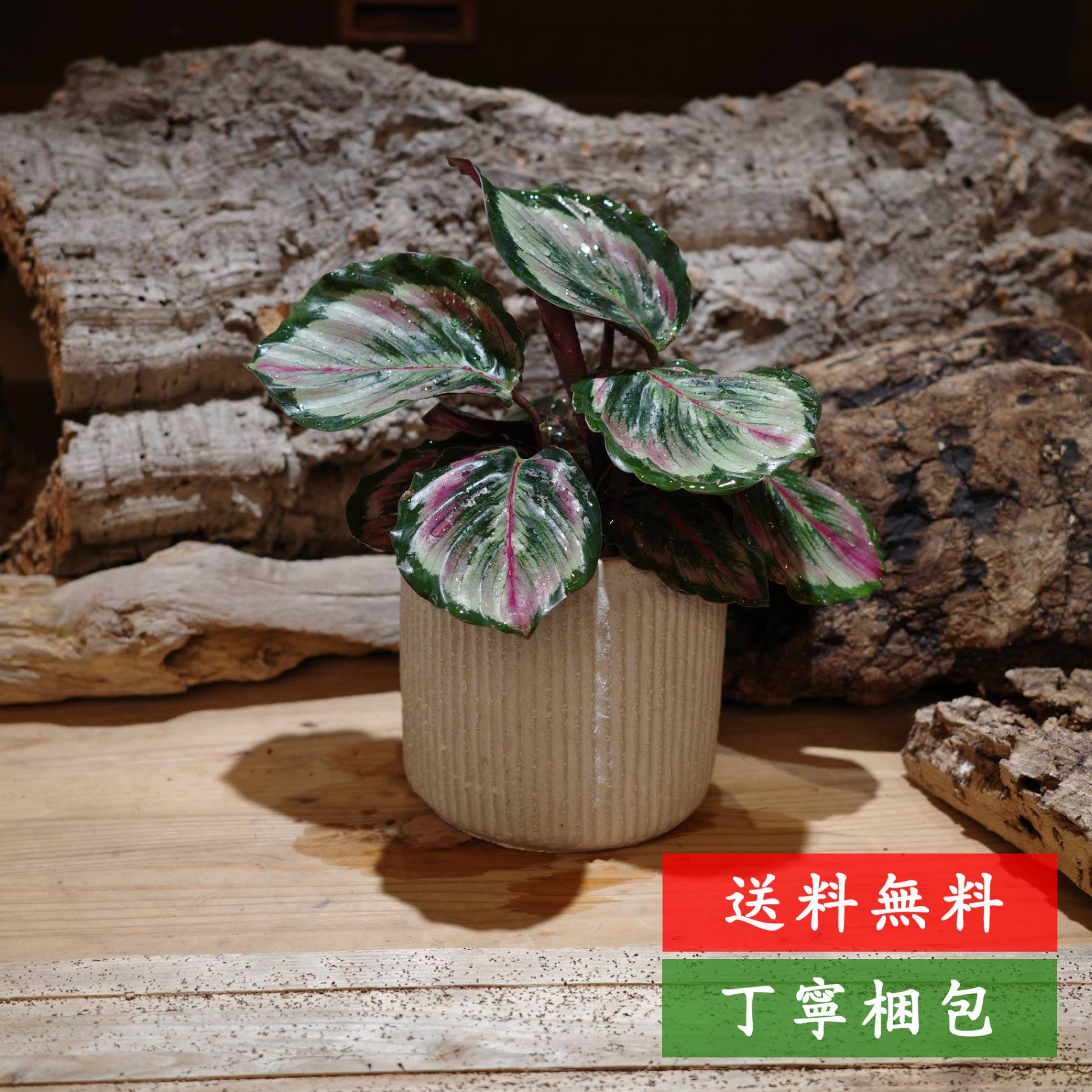 商品画像3