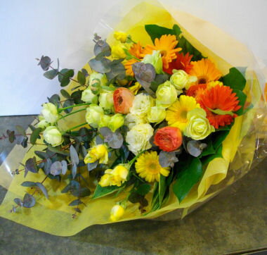 ��« M (�����Х륿���ס����� ����󥸡� b5003