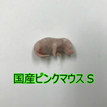 国産冷凍ピンクマウスSサイズ 10匹入り 冷凍 マウス 国産 1匹　2g