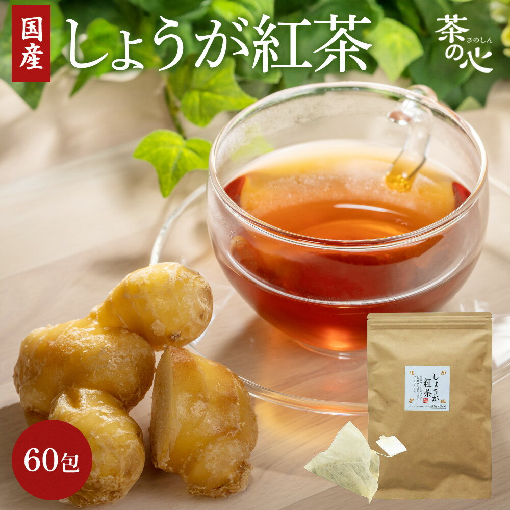 しょうが紅茶 60包 国産 生姜紅茶 しょうが 紅茶 送料無料 しょうがパウダー 生姜パウダー
