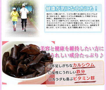 きくらげ 国産 業務用 人吉 熊本 乾燥 ミニ ホール 500g みみなば 送料無料 こぶりなきくらげ