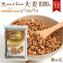 スーパー大麦 お徳用 ロースト バーリーマックス 380g シリアル 腸活 スーパーフード 送料無料 レジスタントスターチ スーパーセール