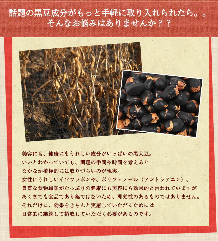 煎り黒豆 120g 北海道産 黒豆 黒大豆 国産 いりくろ 送料無料 送料込