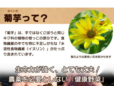 菊芋 国産 粒 サプリメント 180粒 キクイモ イヌリン サプリ 送料無料 ダイエット 糖質 糖質制限