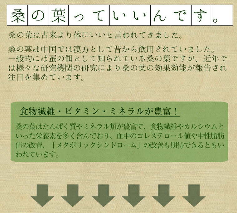 桑の葉 国産 粉末 桑の葉茶 青汁 熊本県産 桑葉 20包 健康茶 送料無料