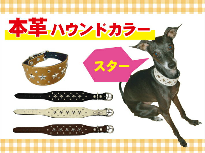 【日本製 本革 ハウンドカラー：スター】ペット 丈夫 オシャレ 人気 首輪 犬 売れ筋 安心 安全 幅広 イタグレ ミニピン オススメ 国産 イタリアングレーハウンド 引っ張り