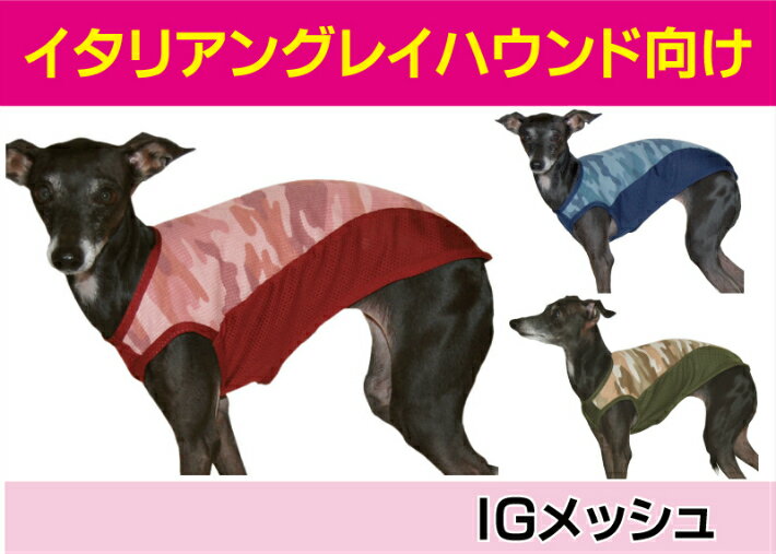 新作犬の服猫服ドッグウェア犬服薄手可愛い刺繍付きペットウェアトレーナー小型犬中型犬お散歩ウェア