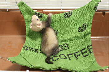 [CHAMMY] 天然麻のハンモック フェレット ハムスター 小動物用 寝床 小動物 ケージ...
