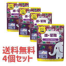 【送料無料4個セット】おやつにサプリZOO鉄+葉酸　40粒　ぶどう風味