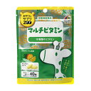 【送料無料】おやつにサプリZOO マルチビタミン 40粒 パイナップル風味
