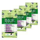 【在庫処分セール 賞味期限2025年7月】4個セット見るUP(アップ) ブルーベリー&ルテイン 40粒 ユニマットリケン