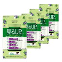 4個セット見るUP(アップ) ブルーベリー＆ルテイン 40粒　ユニマットリケン