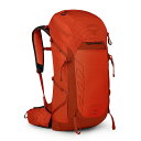 バックパック【OSPREY オスプレー タロンプロ30】送料無料 OS50272 軽量 トレッキング 日帰り(4)