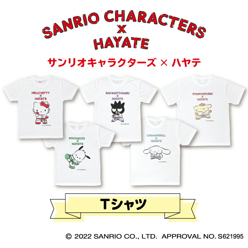 SANRIO CHARACTERS×HAYATE Tシャツ