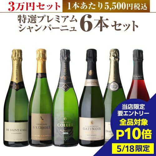 【5/18限定 全品P10倍 要エントリー】1本あたり5,500円税込 送料無料 ≪3万円セット≫ 特選プレミアムシャンパーニュ6本セット 第3弾 シャンパン シャンパーニュ シャンパンセットスパークリングワイン 高級 ギフト 浜運