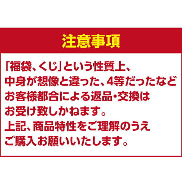 【送料無料】高級シャンパンを探せ！第15弾!!“トゥルベ！トレゾール！”サロンが当たるかも!?プレミアムシャンパーニュ福袋！【先着400本限り】[シャンパンくじ][サロン][ドンペリ][モエ　シャンドン]【他商品同梱不可】】