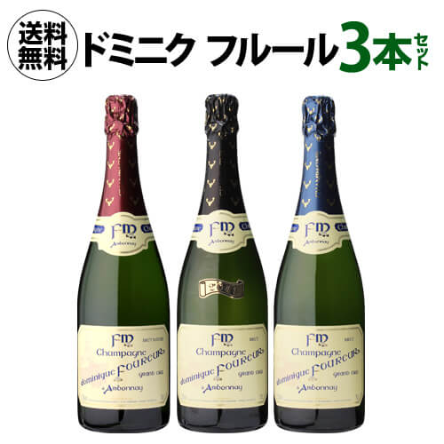 【5/18限定 全品P10倍 要エントリー】1本あたり6,667 円(税込) 送料無料 ドミニク フルール 3本セット 750ml 3本入シャンパン 高級シャンパン シャンパーニュ モンターニュ ド ランス ワインセット 浜運