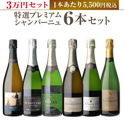 【 P7倍 】1本あたり5,500円税込 送料無料 ≪3万円セット≫ 特選プレミアムシャンパーニュ6本セット 第2弾 シャンパン シャンパーニュ シャンパンセットスパークリングワイン 高級 ギフト 虎セットP7対象最大P10期間：12/4〜11まで