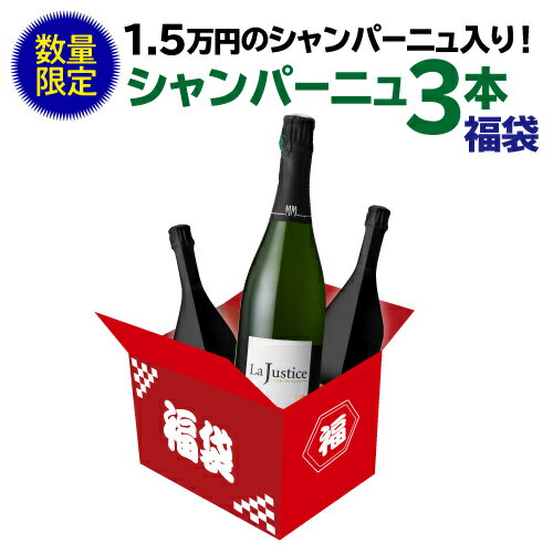 【12/1限定 1,000円OFFクーポン】送料無料 48時間限定！ 単品価格合計2.3万円相当必ずグランクリュシャンパンが入った特選シャンパーニュ1万円福袋シャンパーニュ3本セットワイン福袋 シャンパン シャンパーニュ 泡 セット 長S