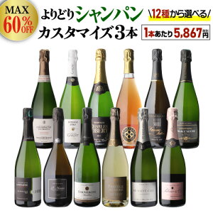 送料無料 最大60％オフシャンパン よりどり3本 カスタマイズ セット ワインセット 16,000円均一 シャンパーニュ セット シャンパンセット 飲み比べ 浜運A