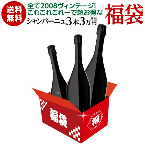 【800円OFFクーポン 8/1〜2　9:59まで】送料無料8/1限定販売！これこれこれーでめっちゃお得！シャンパーニュ3本入 3万円(税別)福袋 シャンパン 浜運