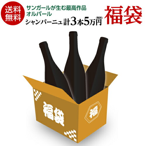 【800円OFFクーポン 5/18～20限定】送料無料シャンパーニュデー シャンパーニュ3本福袋オルパールのヴィンテージ違い3本ワインセット シャンパン 高級シャンパン 浜運 あす楽