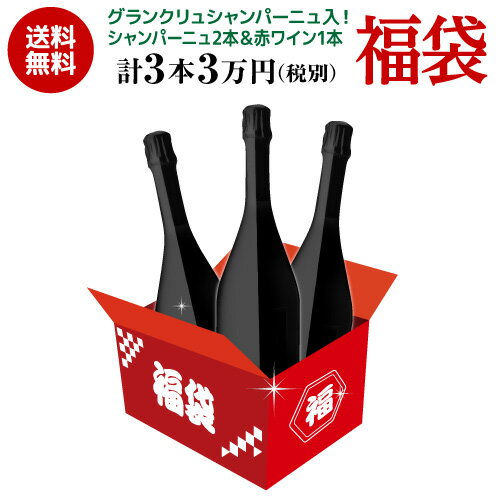 11/15 20時販売開始 送料無料口外禁止＆SNS禁止 シャンパーニュ2本＆赤ワイン1本 3万円(税別)福袋 おまけ付 シャンパン 赤 ワイン 浜運