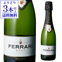 【全品3倍 5/1限定】【800円OFFクーポン 5/1～2 9:59まで】SP フェッラーリ（フェラーリ）ブリュット ハーフ 375ml 正規品 辛口 フェッラーリ スパークリング スプマンテ虎【よりどり3本以上送料無料】