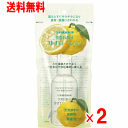 【送料無料】手荒れ防止 ゆずローション 100ml×2個セット【日本臓器製薬】【手湿疹】【プロフェッショナル用】