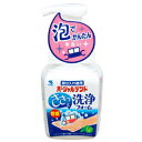 【6月5日(木)限定!当店ポイント3倍セール】小林製薬 パーシャルデント洗浄フォーム 250ml