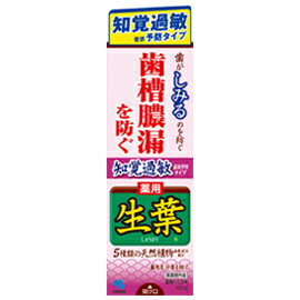 小林製薬 薬用歯みがき 生葉知覚過敏予防タイプ100g