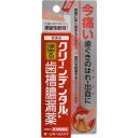 クリーンデンタルN 歯槽膿漏薬 16g【第3類医薬品】