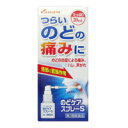 【第3類医薬品】カイゲン のどケアスプレーS 30ml(4)