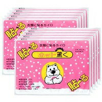 【11月25日(火)限定!当店ポイント3倍セール】貼る ホット驚く カイロ 10枚入