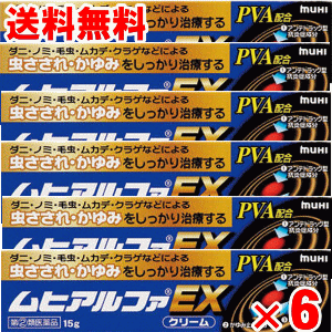(2)ʡۥҥեEX 15g6ĥåȡڤ椦ѥåȡ