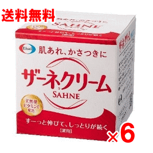 【送料無料】ザーネクリーム 100g×6個セット【エーザイ】のサムネイル