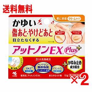 2ʡۥåȥΥEXk ߻ߤץ饹10g2ĥå