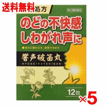 【第2類医薬品】響声破笛丸エキス顆粒G 12包×5個セット（きょうせいはてきがんりょう）
