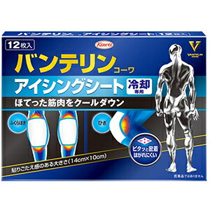 【11月25日(火)限定!当店ポイント3倍セール】興和 バンテリンコーワ アイシングシート 12枚
