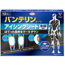 興和 バンテリンコーワ アイシングシート 12枚
