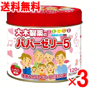 【第(2)類医薬品】パパーゼリー5 120粒×3個セット