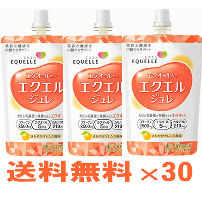 大塚製薬 エクエル ジュレ 100g×30個入【エクオール　サプリ】【ラッキーシール対応】