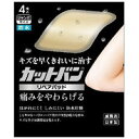 カットバン リペアパッド ジャンボサイズ 4枚入(4)