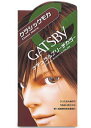 【GATSBY】 マンダム ギャツビー ナチュラルブリーチカラー クラシックモカ 【メンズヘアカラー】【医薬部外品】