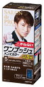 ダリヤ サロンドプロ ワンプッシュメンズカラー(白髪用) 5 〈ナチュラルブラウン〉