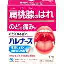 【第3類医薬品】小林製薬 ハレナース 9包