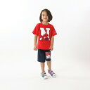 【公式】チャンピオン【30%OFFセール】Champion キッズ Tシャツ&ショーツセット 24SS ボーイズカジュアル(CK-ZW01) ★ セット 子供 ...