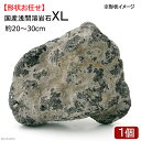 形状お任せ 浅間溶岩石 XLサイズ(約23〜30cm) 1個 アクアリウム レイアウト素材 関東当日便