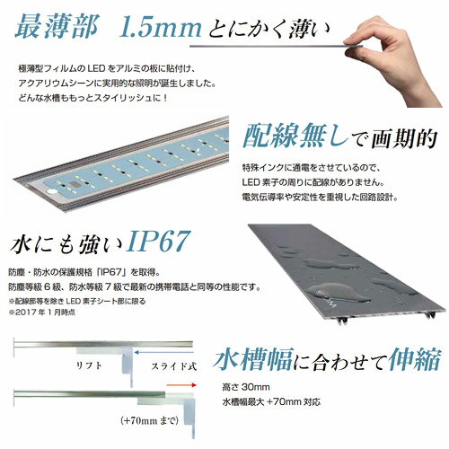 ゼンスイ nano SLIM(ナノスリム) トリプルホワイト 600 | RIUM